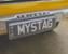 stag